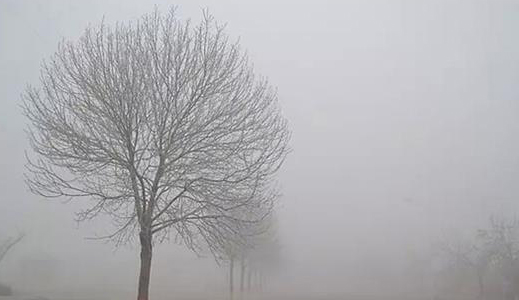 多家企業(yè)氣體排放不達標